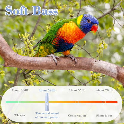 Lasnten 2 Pcs Bird Nail Grinder with Bird Nail Clipper Bird Nail Trimmer Bird Nail File with LED Lamp Grooming Tool for Bird Parrot Budgerigars Parakeets Myna Conure Parakeets Finches Lovebirds