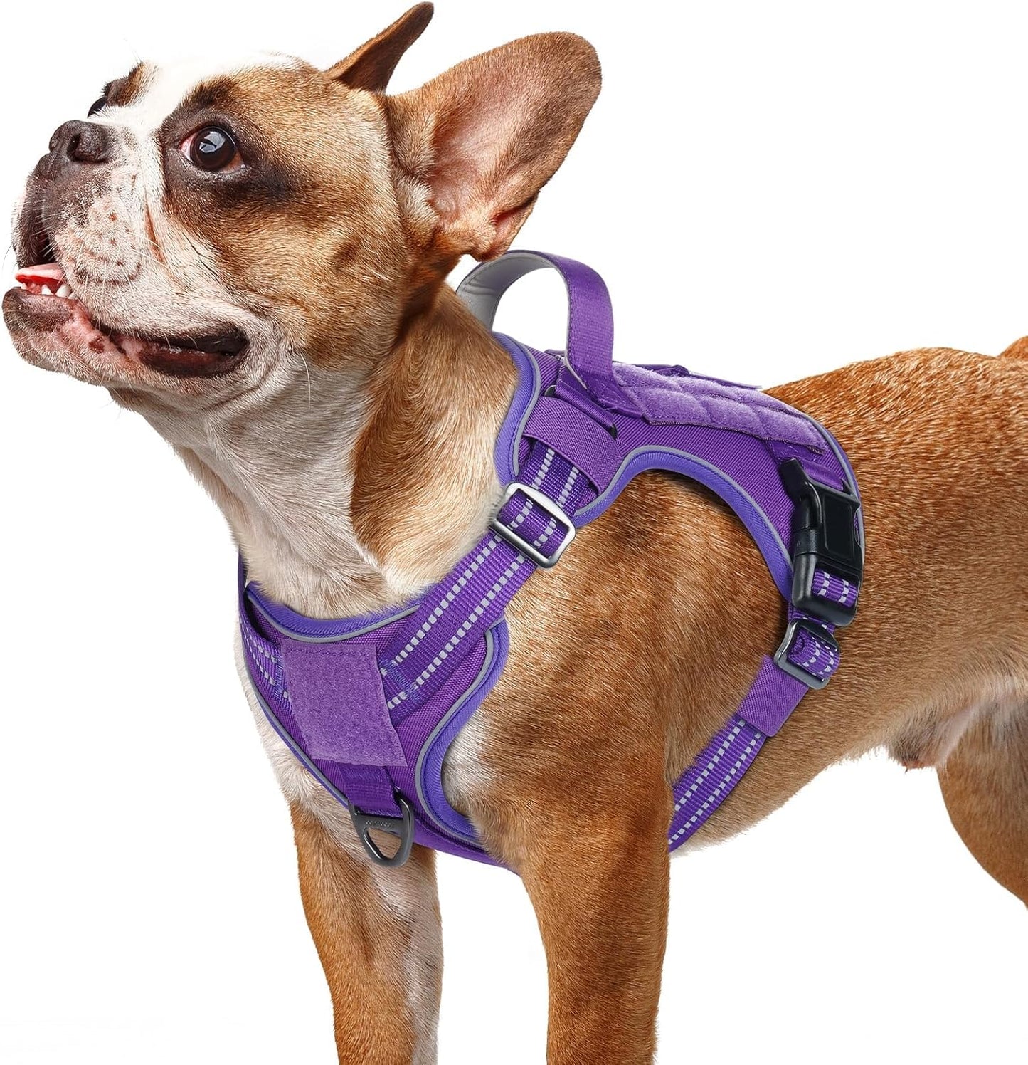 rabbitgoo Dog Harness Small Sized No Pull, Tactical Service Pet Vest with Molle and Control Handle, Adjustable and Reflective Military Harness for Easy Walking and Training, Purple, S