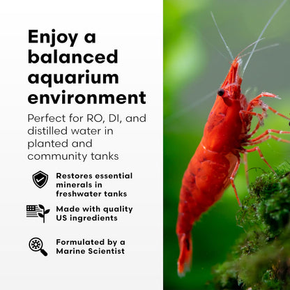 Brightwell Aquatics Remineraliz P - Reconstitutes Reverse Osmosis, Deionized, or Distilled Water for Freshwater Aquarium Use 1000-g