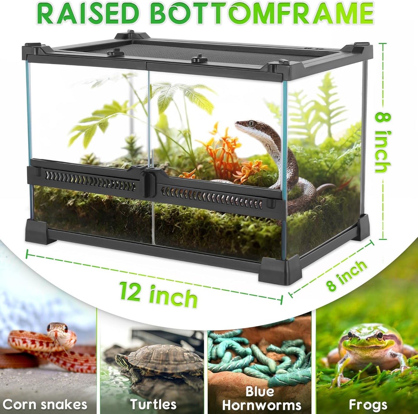Mini Reptile Glass Terrarium 12"x8"x8" Durable Reptile Habitat Tank with Heat Resistant Aluminum Alloy Frame, Double Swinging Doors for no Jam by Sand and Other Debris - Pawvie