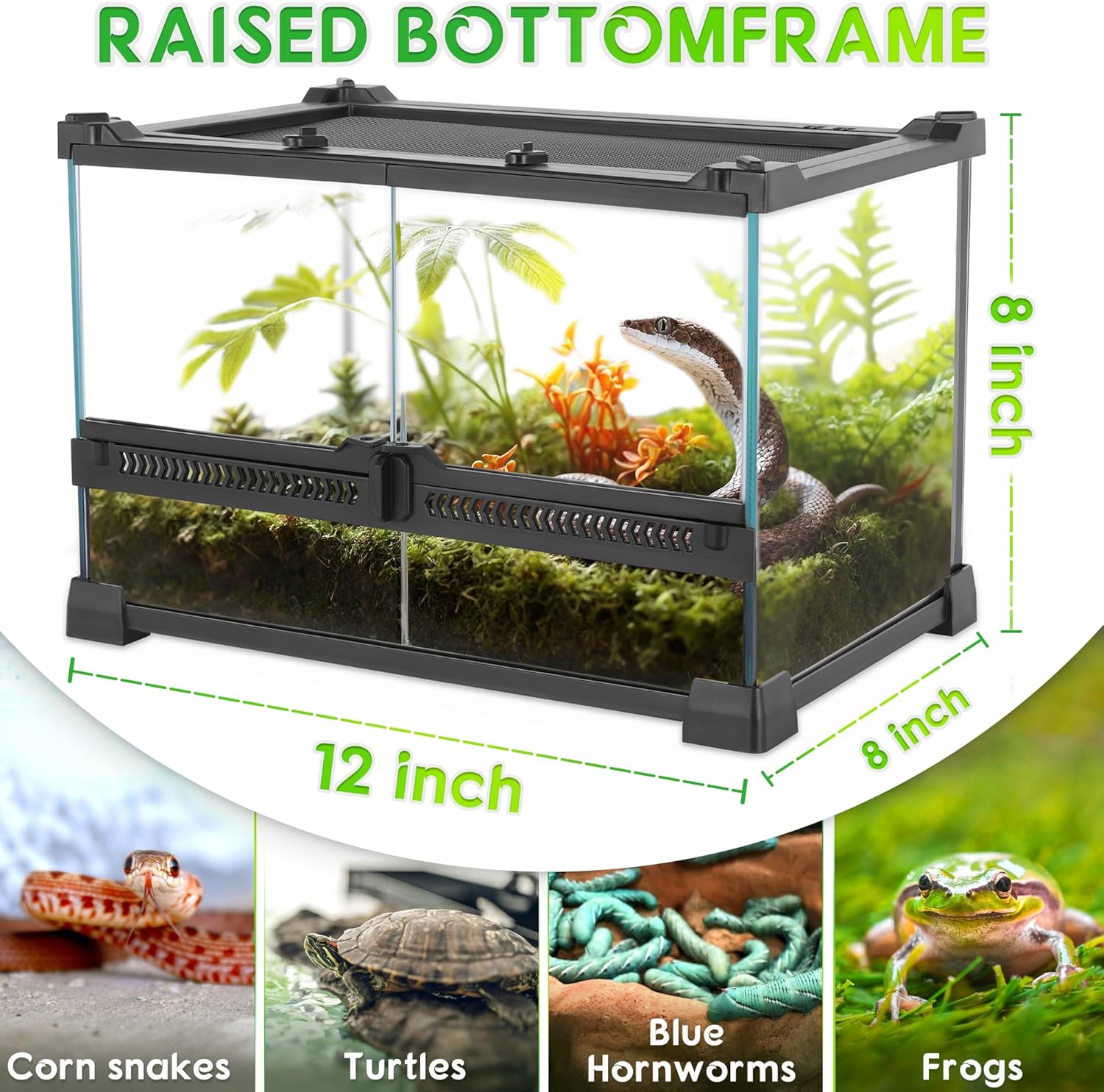 Mini Reptile Glass Terrarium 12"x8"x8" Durable Reptile Habitat Tank with Heat Resistant Aluminum Alloy Frame, Double Swinging Doors for no Jam by Sand and Other Debris - Pawvie
