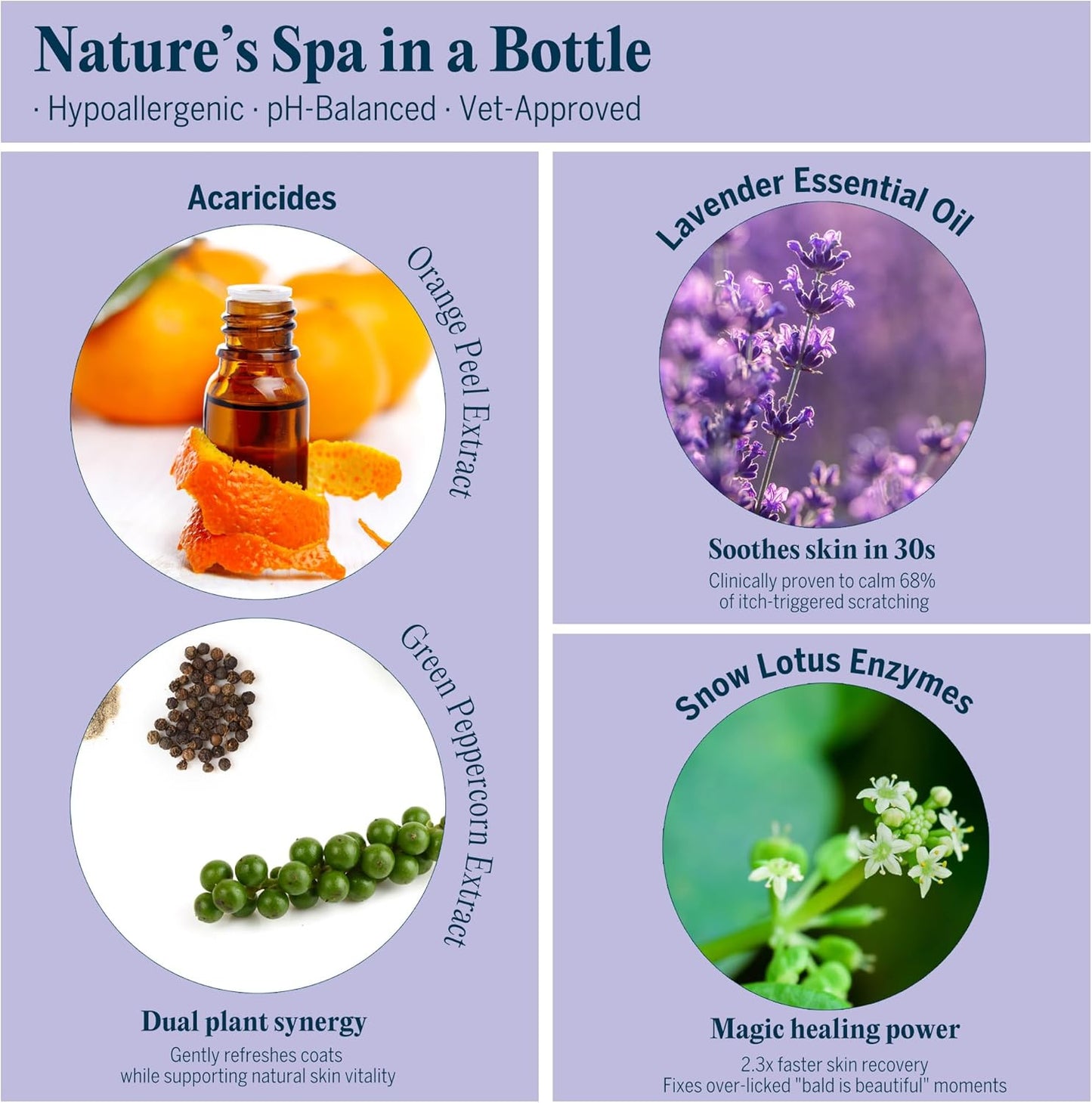 Pretty Kitty Waterless Cat Dry Shampoo with Grooming Glove– No Rinse, Lick-Safe, Moisturizing for Dry Skin, Dandruff, Deshedding, Wash Soap Spray Foam for Kittens, Bathing & Cleaning Supplies