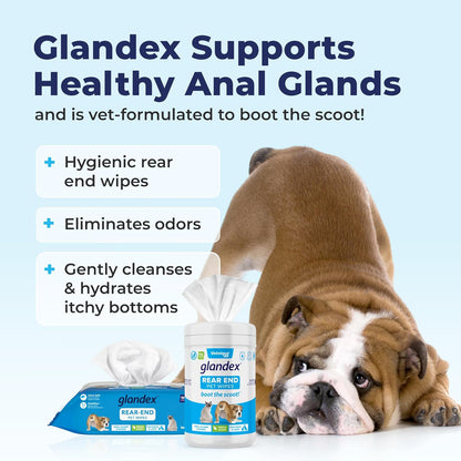 Vetnique Labs Glandex Dog Wipes for Pets Cleansing & Deodorizing Anal Gland Hygienic Dog & Cat Wipes with Vitamin E, Skin Conditioners and Aloe (100ct Pouch)