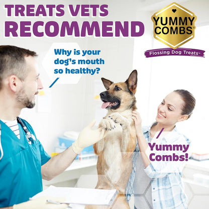 Dog Dental Treats – Vet VOHC Approved, Removes Tartar & Cleans Teeth – Yummy High Protein Chicken Treat for Extra Large Dogs (Mini Pack, 4 Count)