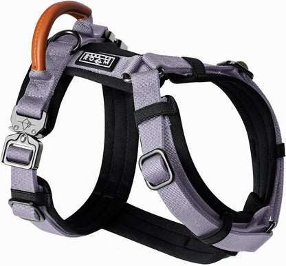 MADE TO ROAM Premium Explorer Harness - Y-Shaped Dog Harness with Adjustable Durable Nylon, Soft Padding, Metal Buckles and Leather Handle for Small, Medium, Large Dogs (Montana Moonrise, Size 4)