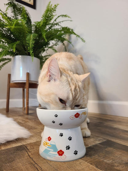 Necoichi Raised Stress Free Cat Food Bowl, Elevated, Backflow Prevention, Dishwasher and Microwave Safe, No.1 Seller in Japan! (Fuji Limited Edition, Large)