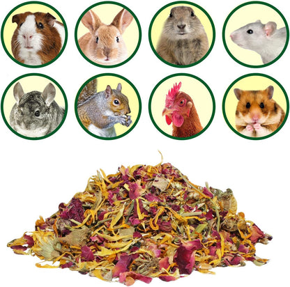Exotic Nutrition Flower Treat 3 Pack - Healthy Assortment - Hibiscus, Calendula, Rose - for Squirrels, Guinea Pigs, Rabbits, Chinchillas, Prairie Dogs, Degus, Hamster, Gerbils, & Other Herbivores