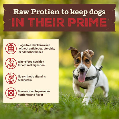 Primal Kibble in The Raw, Freeze Dried Dog Food, Small Breed Recipe, Scoop & Serve, Made with Raw Protein, Whole Ingredient Nutrition, Crafted in The USA, Dry Dog Food 1.5 lb Bag