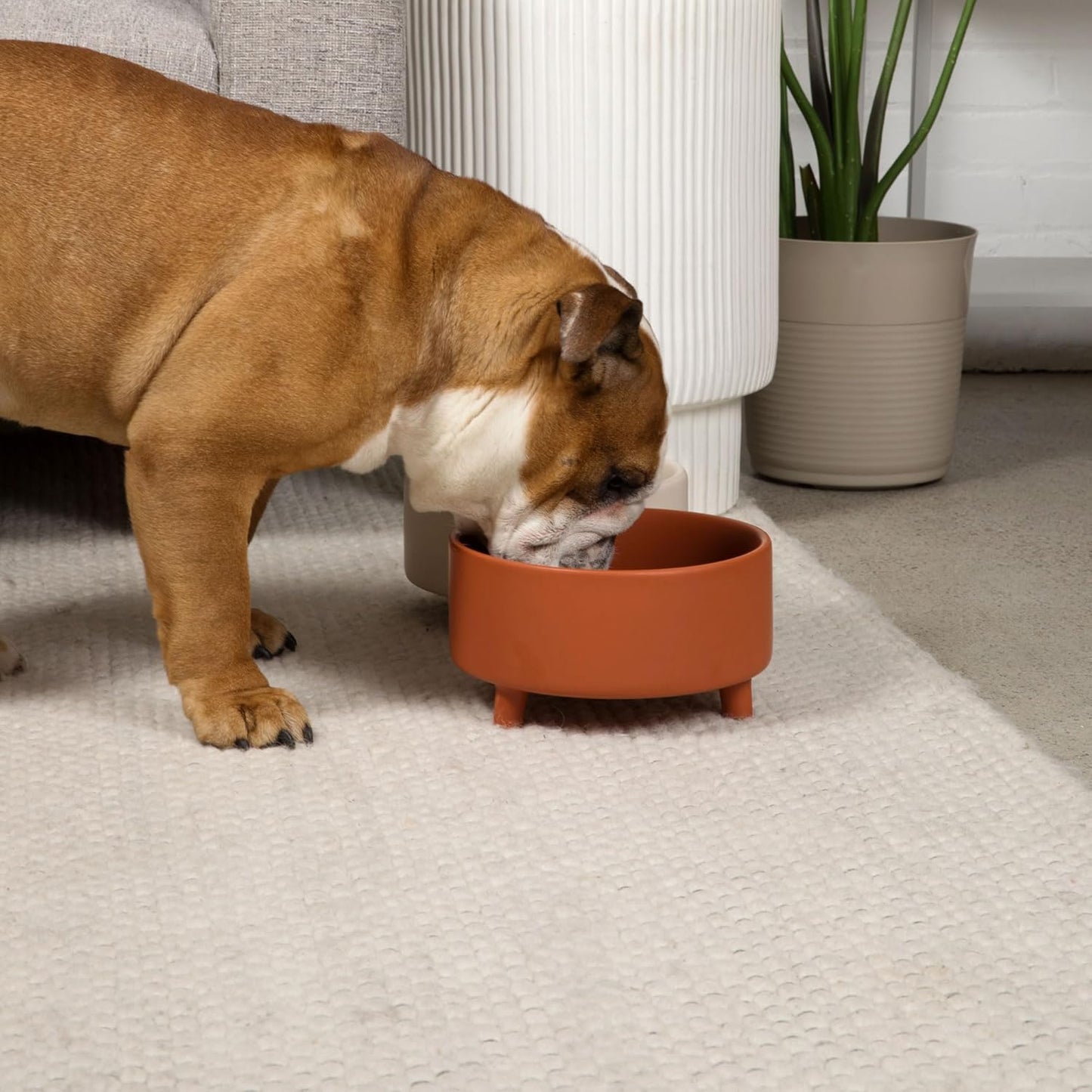 Waggo Uplift Ceramic Dog Bowl for Small Medium and Large Breeds - Heavyweight and Durable Pet Food and Water Dish Crock, Dishwasher Safe, Modern, Elevated Feeder (Olive, Small)