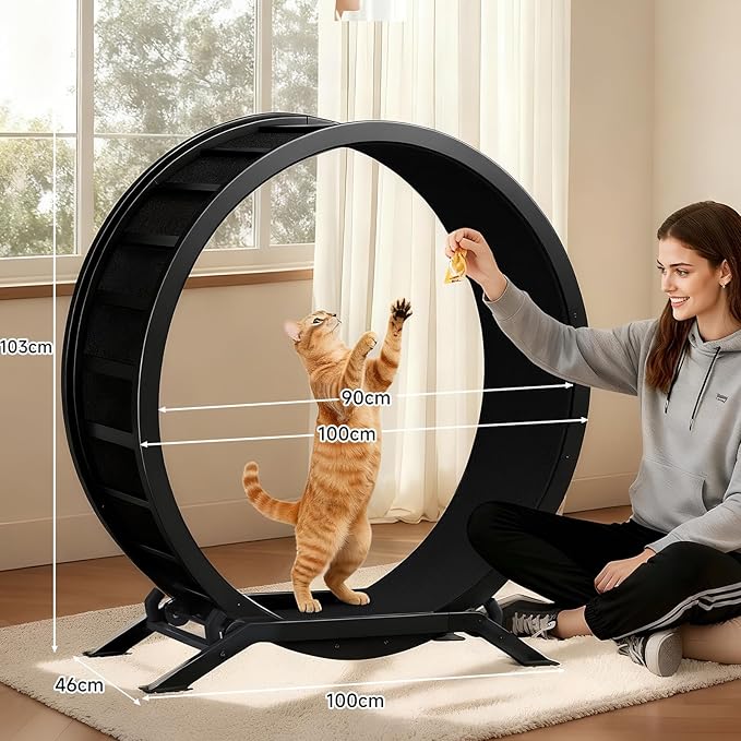 GTPLAYER Cat Wheels, Large Cat Exercise Wheel for Indoor Cats, 40"Diameter cat treadmill Detachable Carpet & Teaser, stickers, Ultra-quiet scroll wheel With latch, Suitable for Most Cats, Metal, Black