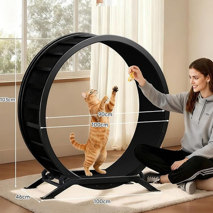 GTRACING Cat Wheels, 40" Diameter, Large Cat Exercise Wheel for Indoor Cats cat Treadmill Metal with Detachable Black Carpet & Teaser/Stickers, Ultra-Quiet Scroll Wheel with Latch, Safe and Stable