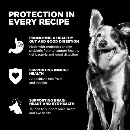 Go! Solutions Skin + Coat Care, Dry Dog Food, Lamb Recipe with Grains, 3.5 lb Bag