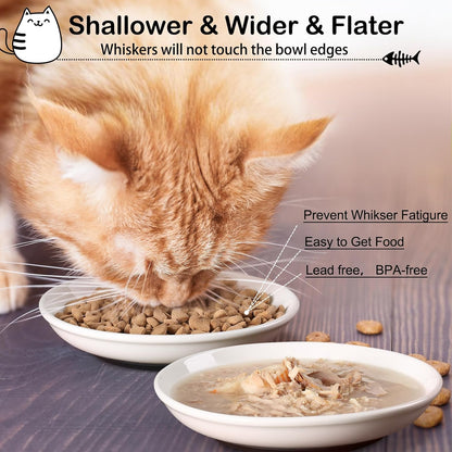 Cat Food Bowl,Healthy Ceramic Cat Bowls for Indoor Cats,Anti Whisker Fatigue Cats Dishes Set,Shallow Wide Kitten Plates for Food and Water,Non-Slip Silicone Bottom,6 Pack