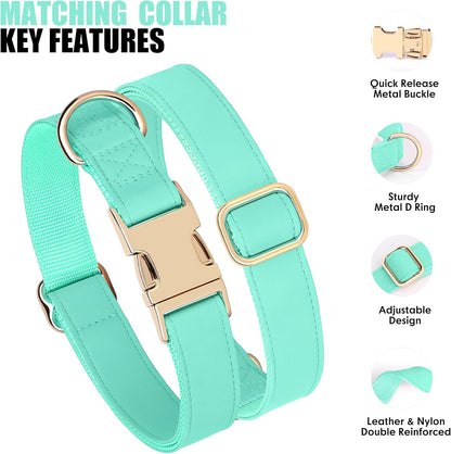 PET ARTIST Soft PU Leather Dog Collar, Bright Color & Durable Dog Collar Leather with Rose Gold Quick Release Metal Buckle, Adjustable Nylon Padded Pet Collars for Large Dogs, Neck Fit 16-27"