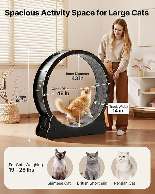 VEVOR Cat Exercise Wheel, 48 in Wooden Cat Running Wheel for Indoor Cats up to 28 lbs, Cats Treadmill with Carpeted Runway & Locking Mechanism, Quiet Kitten Sport Toys for Pets Fitness & Health, Black