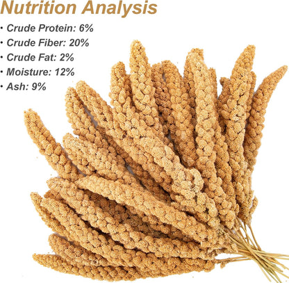 Amzey 5.5 LB Spray Millet for Parakeets, 100% Natural Dried Millet Grain for Birds, Non-GMO Bird Treat for Cockatiel, Finches, Parrots & Lovebirds