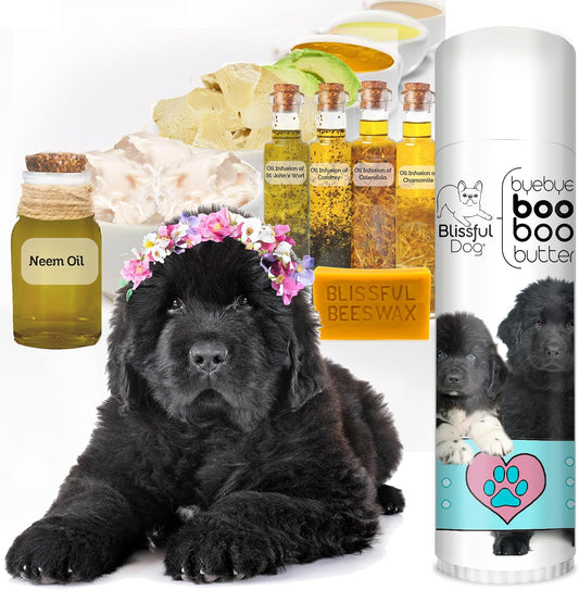 The Blissful Dog .50 oz Tube Newfoundland Booboo Butter