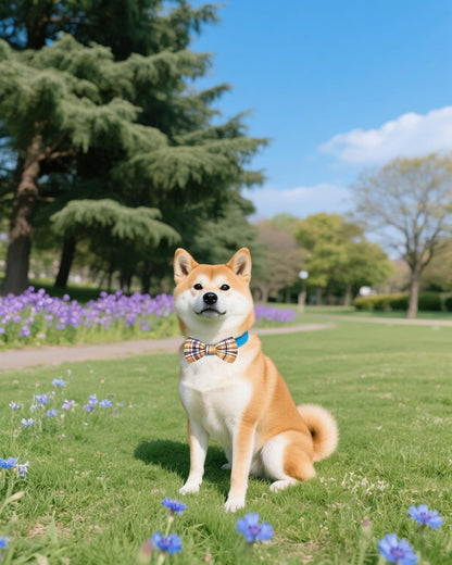 PET SHOW 10 Pack Plaid Big Dog Bow Ties for Large Medium Dogs Sliding Collar Attachments Classic Bowties Rainbow Bowknots Christmas Party Holiday Pet Grooming Accessories(Large)