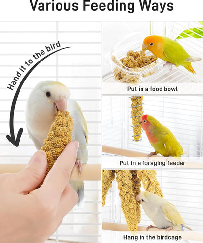 BUCATSTATE Spray Millet for Birds, Sun-Dried Healthy Millet Parakeet Treats for Parrots Cockatiel Lovebird Finch, GMO-Free Parakeet Food - 1.1lb