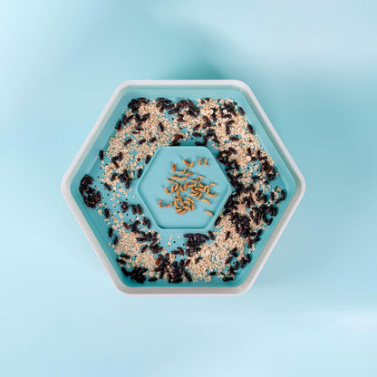 Mealworm Growing Kit by The Bug Factory - Raise Dried Mealworms at Home, Mealworm Growing, Breeding, Rearing & Raising Kit | Includes Full Lifecycle Habitat Pods + Carbon Filters