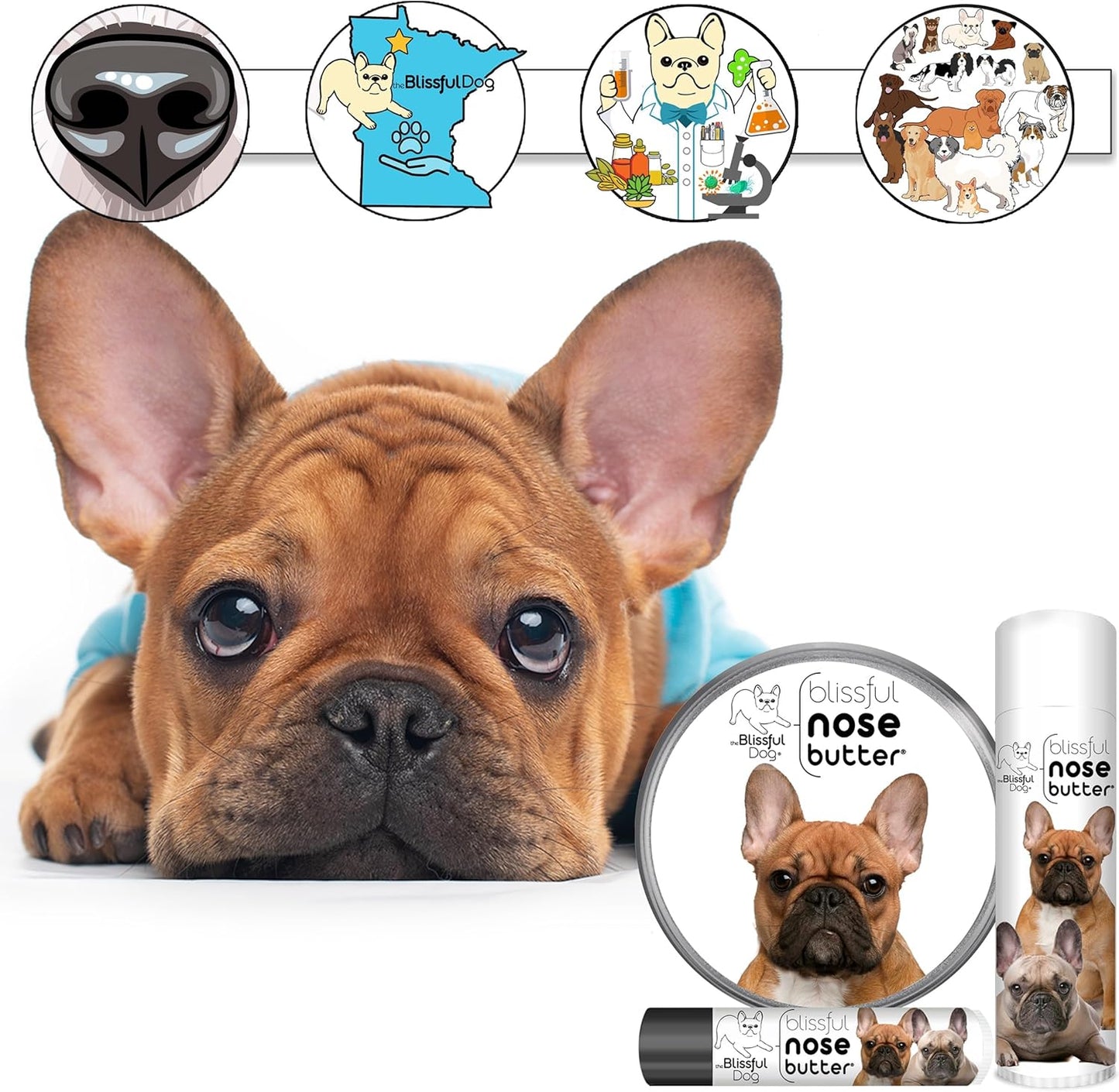 The Blissful Dog French Bulldog Black Masked Fawn Unscented Nose Butter - Dog Nose Butter, 8 Ounce