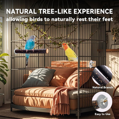 Bird Toys Parakeet Perch Budgie Perch Wood Stand Fork Toys Multi-Branch Perch Platform Toy for Small Conures,Cockatiel,Parrotlet,Lovebird,Parrot,Finches