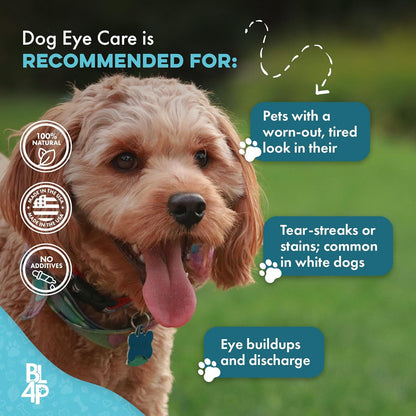 Dog Eye Infection & Eye Care Support Supplements, Natural Relief from Conjunctivitis, Swelling, Tear Stains, Dry Eyes and Discharge, Easy to Use, No More Struggle with Canine Drops, 400 Small Pills