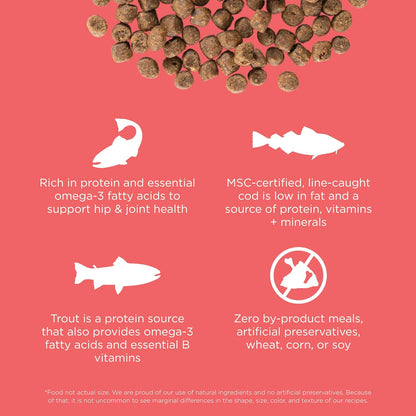 Go! Solutions Carnivore, Grain-Free, Protein Rich Dry Cat Food, Salmon and Cod Recipe, 8 lb Bag