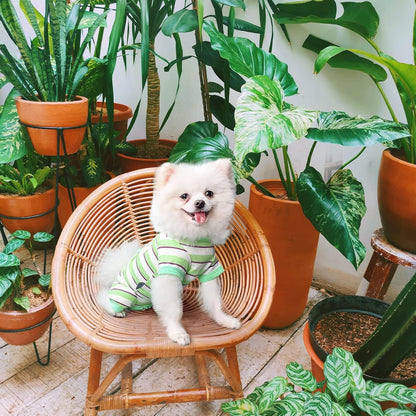 TONY HOBY Dog Pajamas, Male Dog Jumpsuit with Green Stripe, Dogs Clothes for Small Medium Size Dogs (Green&White, Boy, S)