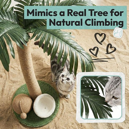 Cat Scratching Post 33 Inch Palm Tree with Hanging Balls and Double Coconut Toys, Cat Scratcher for Indoor Kittens, Extra Stable Base, Paw-Friendly Jute Material M