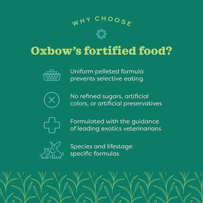 Oxbow Essentials Rabbit Food, Senior, Made Alfalfa for Rabbit, Vitamin & Mineral Rich Pet Pellets, Small Animal Pet Products, Bunny Food, Made in USA, High Fiber, 8 lb. Bag
