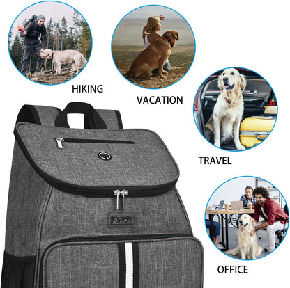 BAGLHER丨Dog Travel Bag, Airline Approved Pet Supplies Backpack, Dog Travel Backpack Accessories Set with 2 Silicone Collapsible Bowls and 2 Food Baskets, Gray - Pawvie