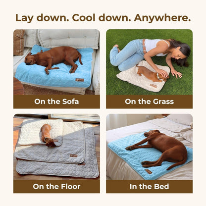 Dog Cooling Mat- Ice Silk Summer Comfort, Self Cooling, Non-Slip Dog Pad, Durable & Washable, Mat for Large Dogs 65x95 cm, Support Shelter Dogs with Every Purchase (Blue)