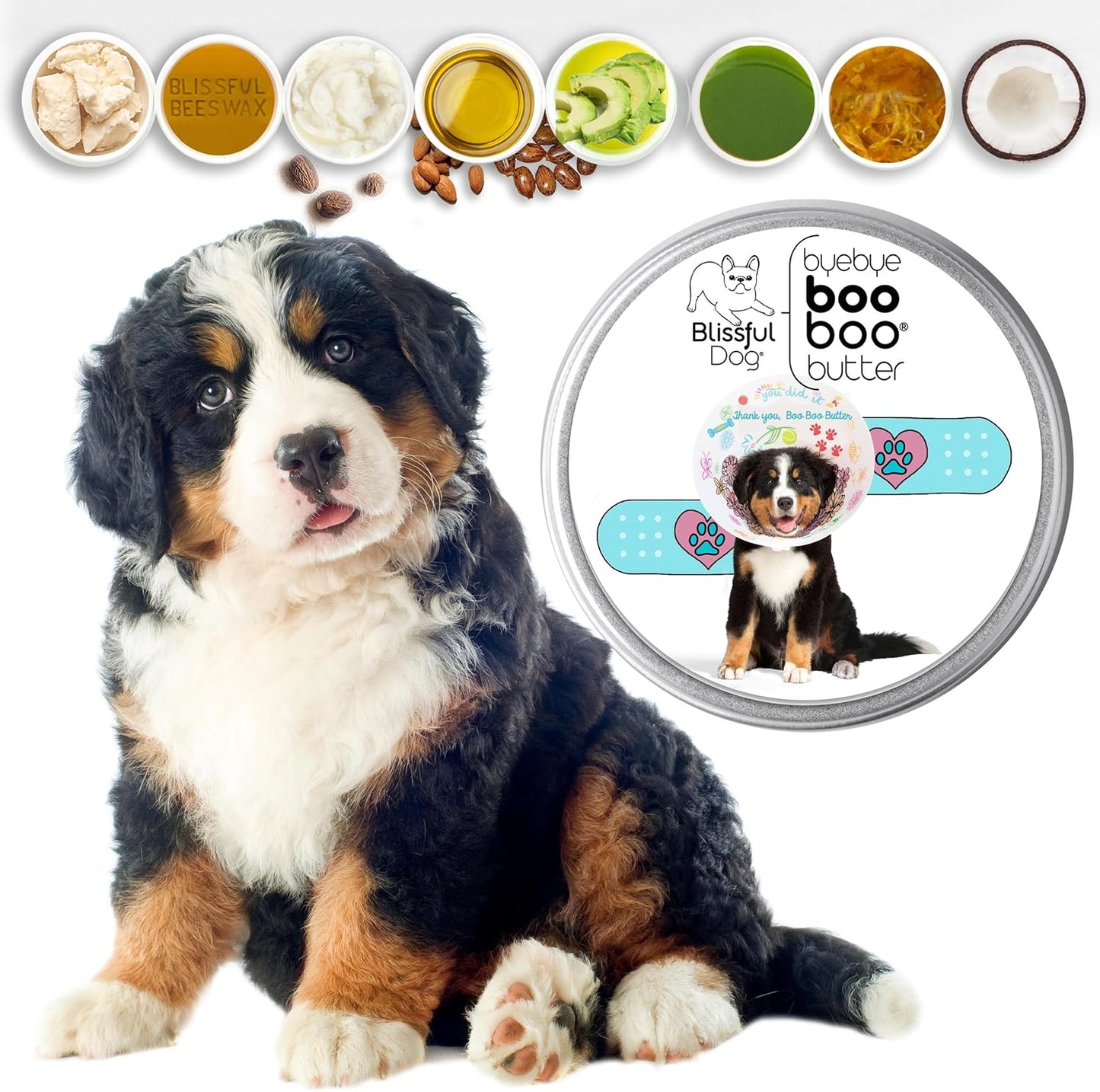 The Blissful Dog 2 oz TIN Bernese Mountain Dog Booboo Butter