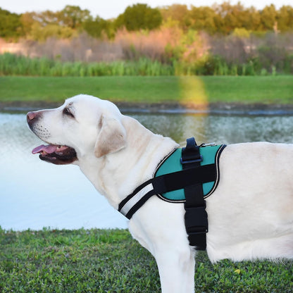 Dogline Dog Harness, Reflective No-Pull Adjustable Vest with Handle for Walking, Training, Breathable, No - Choke Harness for Small, Medium or Large Dogs Room for Patches Girth 33"-46" in Turquoise