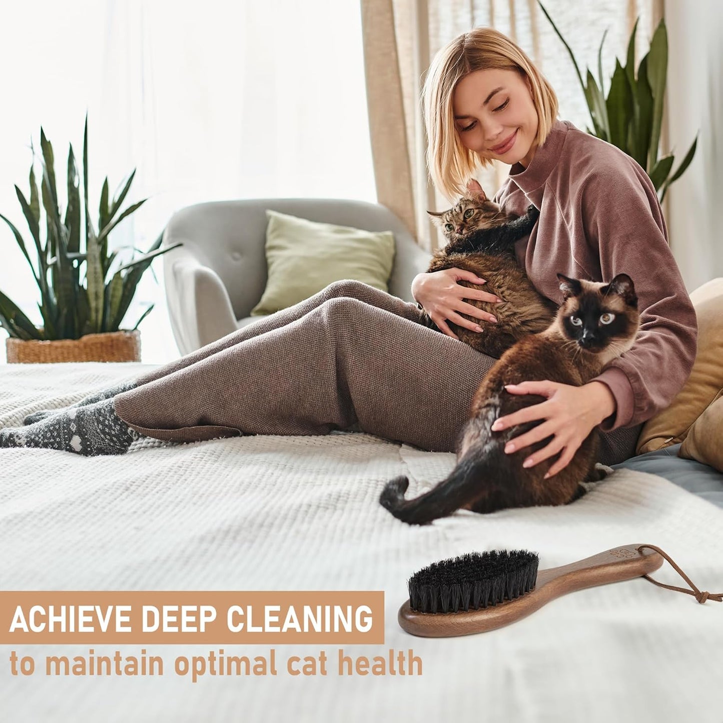 Takavu Boar Bristle Cat Hair Brush, Gentle Grooming Brush with Natural Bristles and Wooden Handle for Sensitive Skin, Pet Cleaning Supplies Keeping Your Cat's Fur Hair Coat Healthy and Shiny