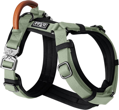 MADE TO ROAM Premium Explorer Harness - Y-Shaped Dog Harness with Adjustable Durable Nylon, Soft Padding, Metal Buckles and Leather Handle for Small, Medium, Large Dogs (Washington Rain, Size 6)