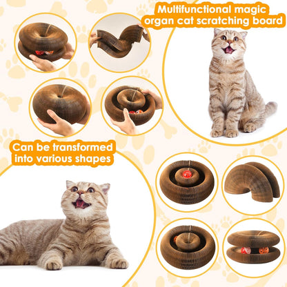 2 Pack Magic Organ Cat Toy Foldable Magic Organ Cat Scratching Board Reversible Infinity Style Magic Organ Cat Toy with 4 PCS Ball Cat Toys Interactive Indoor Cat Toys