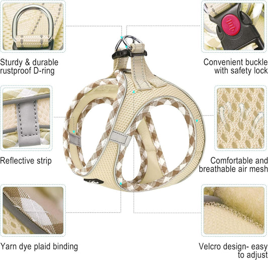 haapaw Dog Harness with Leash Set, No Pull Adjustable Reflective Step-in Puppy Harness with Thickened Padded Vest for Extra-Small/Small Medium Dogs