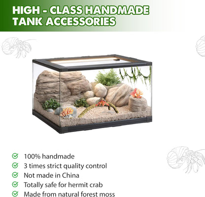 Duspro Hermit Crab Climbing Toys – Y Shaped Flexible Moss Pole Wrapped in Soft Yarn and Forest Moss, Hermit Crab Accessories and Easy-to-Use Hermit Crabs Supplies – Perfect for Climbing (12 inches)