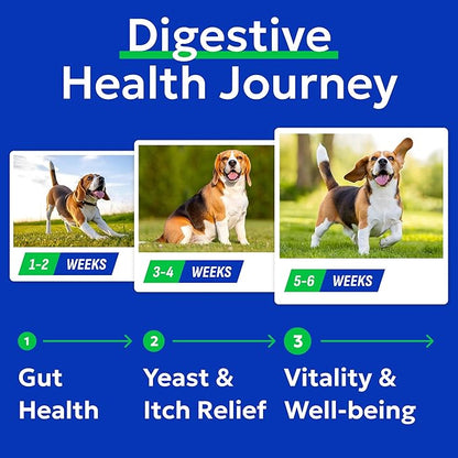Bark&Spark Dog Probiotics & Digestive Enzymes (Gut Health) Allergy & Itchy Skin - Pet Diarrhea Gas Treatment Upset Stomach Relief Pill, Digestion Health Tummy Treat (180Ct Bacon)