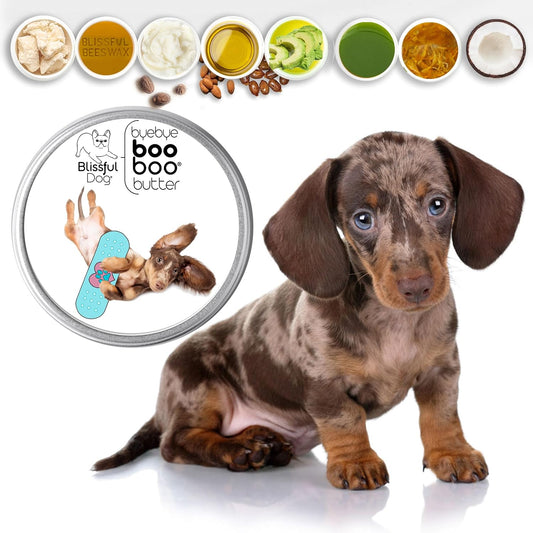 The Blissful Dog 4 oz TIN Dachshund Booboo Butter