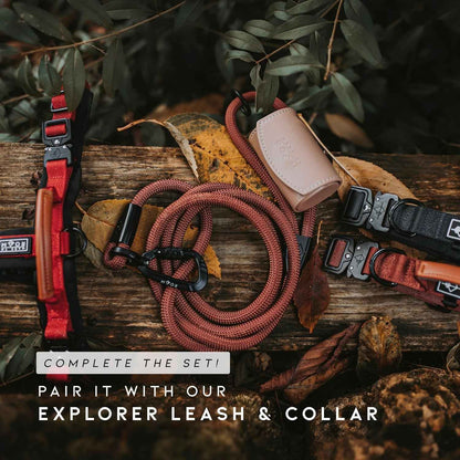MADE TO ROAM Premium Explorer Harness - Y-Shaped Dog Harness with Adjustable Durable Nylon, Soft Padding, Metal Buckles and Leather Handle for Small, Medium, Large Dogs (Texas Flair, Size 2)