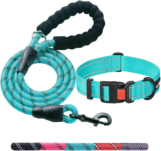 Heavy Duty Dog Leash - Comfortable Padded Handle, 5 ft Long - Dog Leashes for Small Medium Large Dogs (Leash+Collar L Neck 20"-25", Blue)