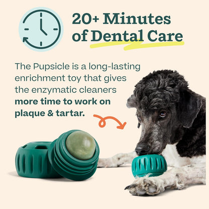 WOOF Dental Kit- Includes Pupsicle Dog Toy, Treat Tray, Shaker Bottle, Chicken Pupsicle Pops, and Dog Teeth Cleaning Powder - Supports Oral Health for Dogs - Large