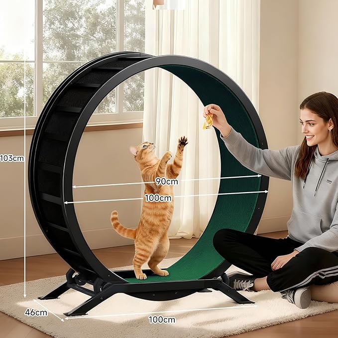 GTPLAYER Cat Wheels, Large Cat Exercise Wheel for Indoor Cats, 40"Diameter cat treadmill Detachable Carpet & Teaser, stickers, Ultra-quiet scroll wheel With latch, Suitable for Most Cats, Metal, Green