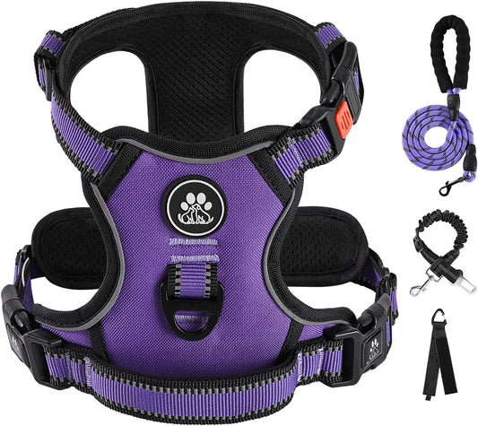 IVY&LANE No Pull Dog Harness for Small Dogs, Dog Vest Harness with Leash, Safety Belt and Storage Strap, Fully Adjustable Harness, 360° Reflective Strip, Soft Handle (Purple, XS)