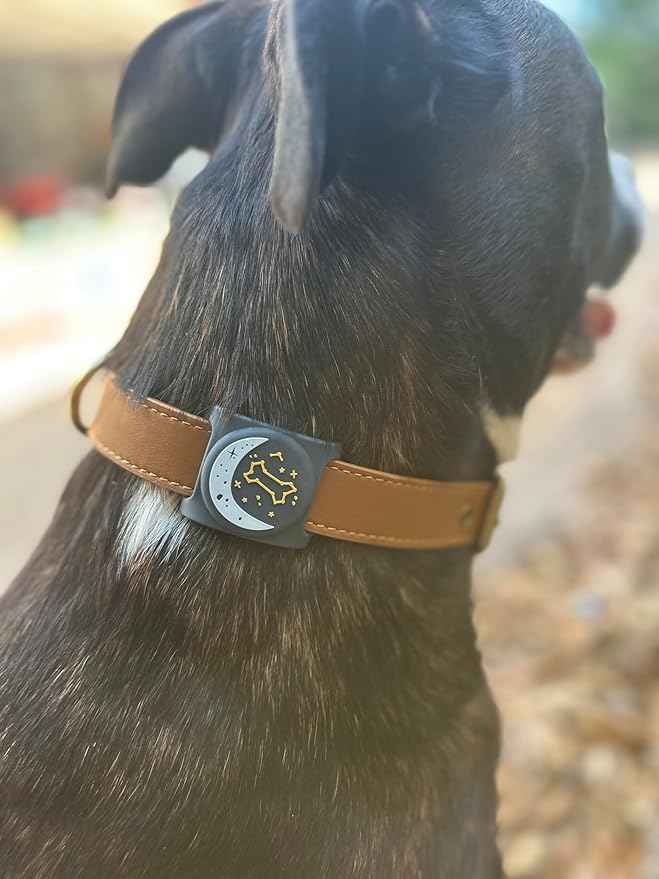 Two Tails Zodiac Dog Collar Holder Compatible with Apple AirTag, Durable Silicone Slide-On Case for Pets, Secure Tracker Cover, Easy to Clean