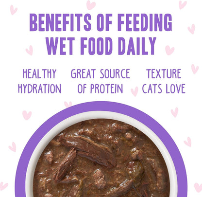 Weruva B.F.OMG - Best Feline Friend Oh My Gravy!, Tuna & Beef Baby Cakes with Tuna & Beef in Gravy Cat Food, 3oz Pouch (Pack of 12), Purple (0152)