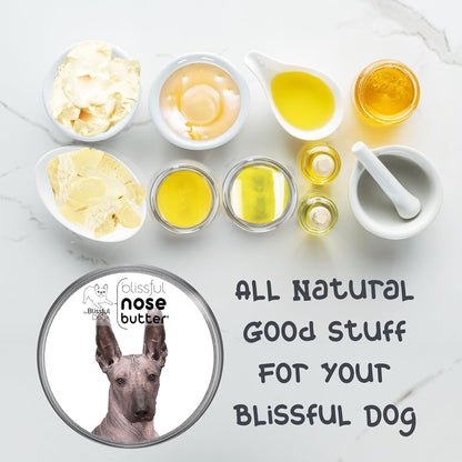 The Blissful Dog Xoloitzcuintli Nose Butter for Dry, Cracked Skin, Lick-Safe Dog Nose Balm with Moisturizing Shea Butter, Almond, Olive, and Essential Oils, Pet Supplies, Uncented, 8 oz.